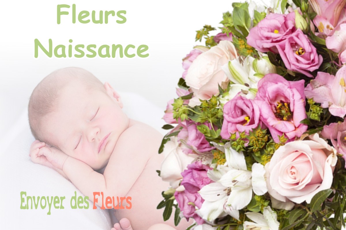 lIVRAISON FLEURS NAISSANCE à FRONTIGNAN-SAVES